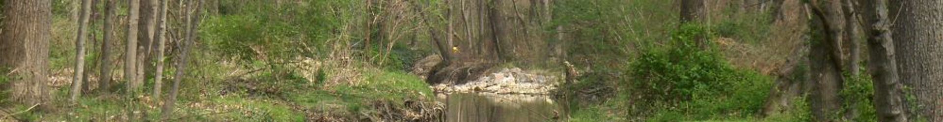 Henrico, VA Shutterstock 1008332050 Cropped